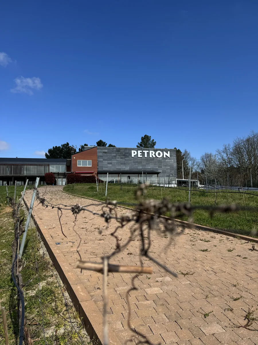 Camino de acceso a Bodegas Petrón
